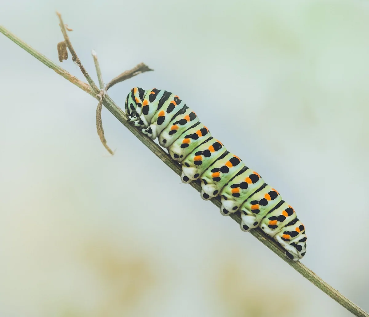 Faut-il vraiment digitaliser tous les processus de votre entreprise?